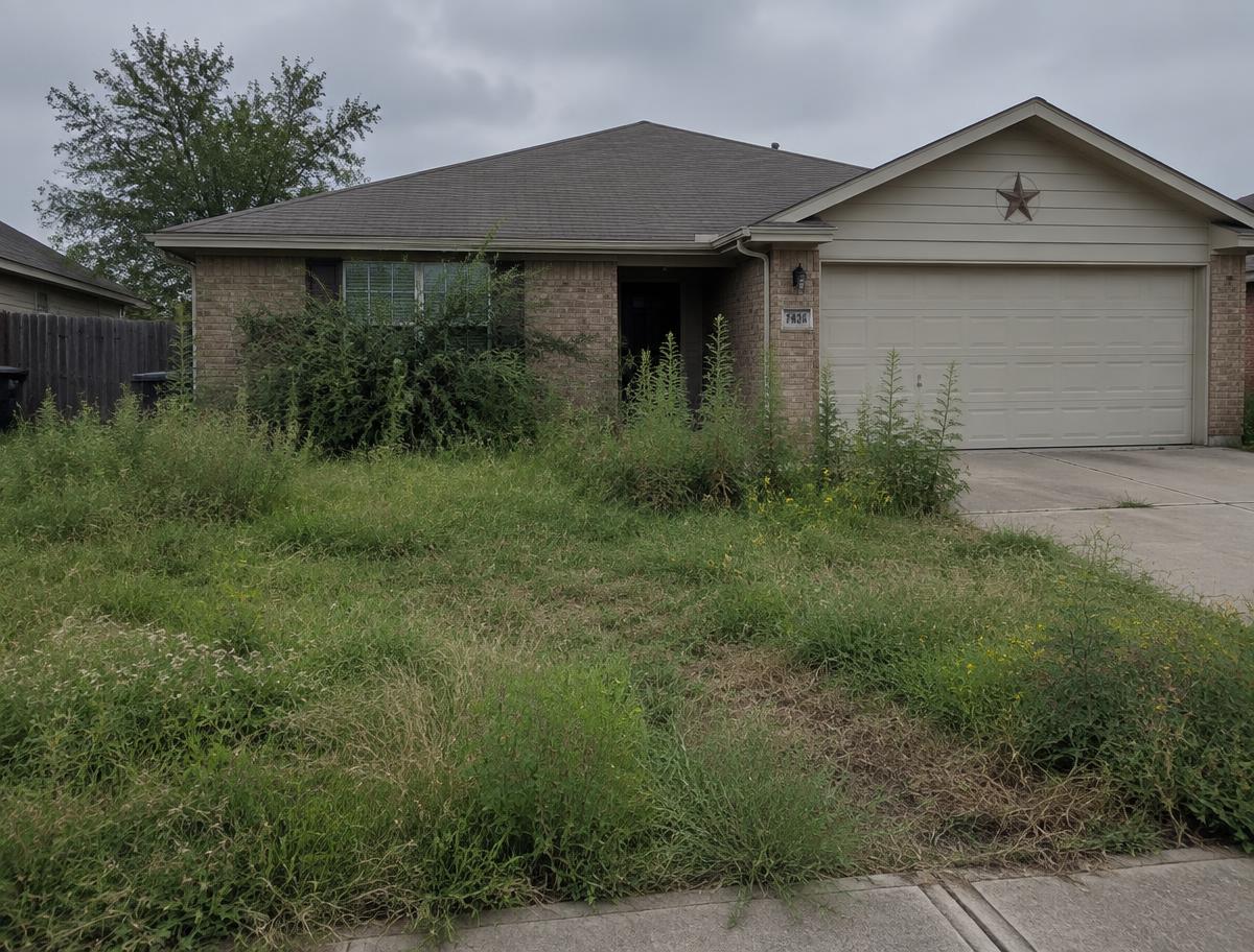 Before: overgrown lawn